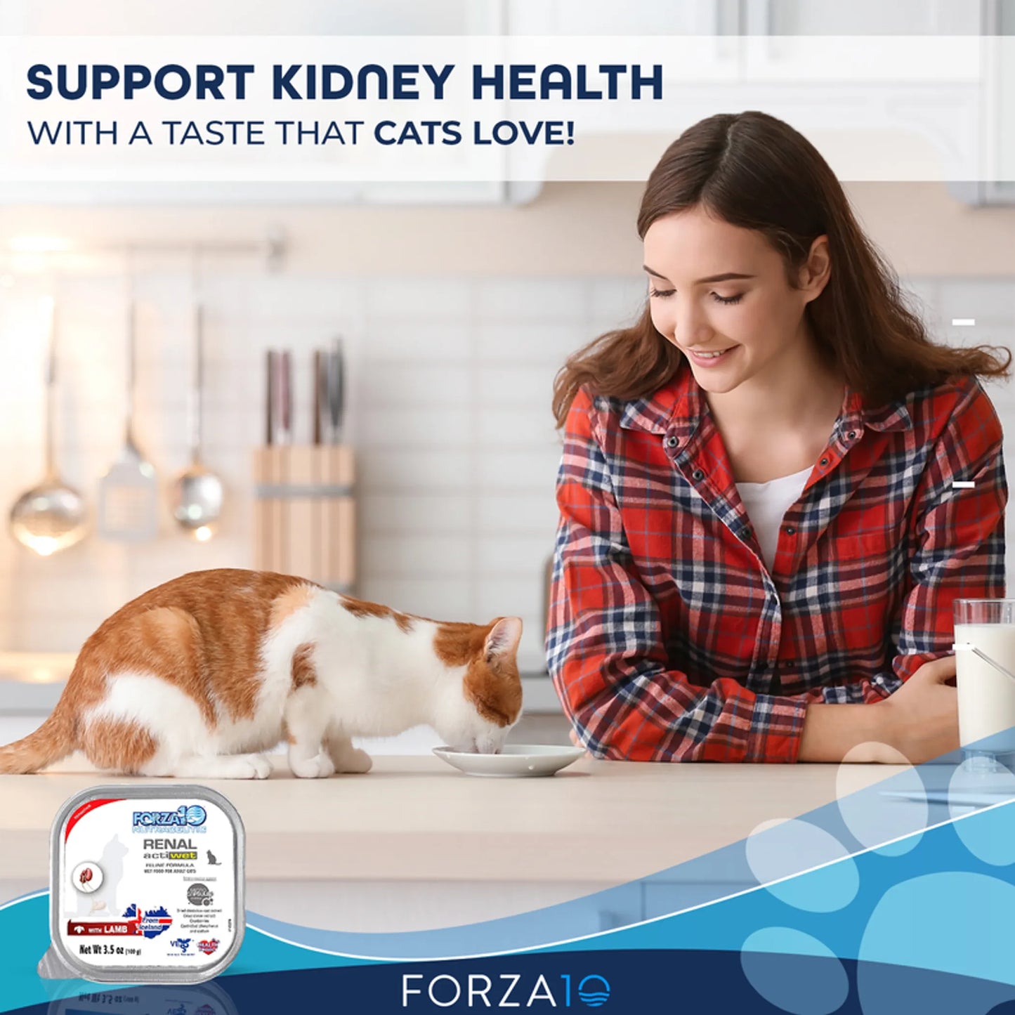 Woman watching a cat eat Forza10 Actiwet Renal Support Canned Cat Food to support kidney health at home