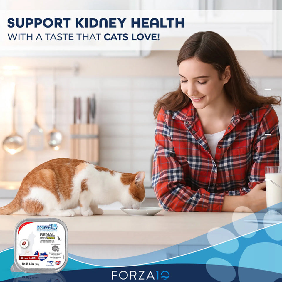 Forza10 Actiwet Renal Support Canned Cat Food, view 4