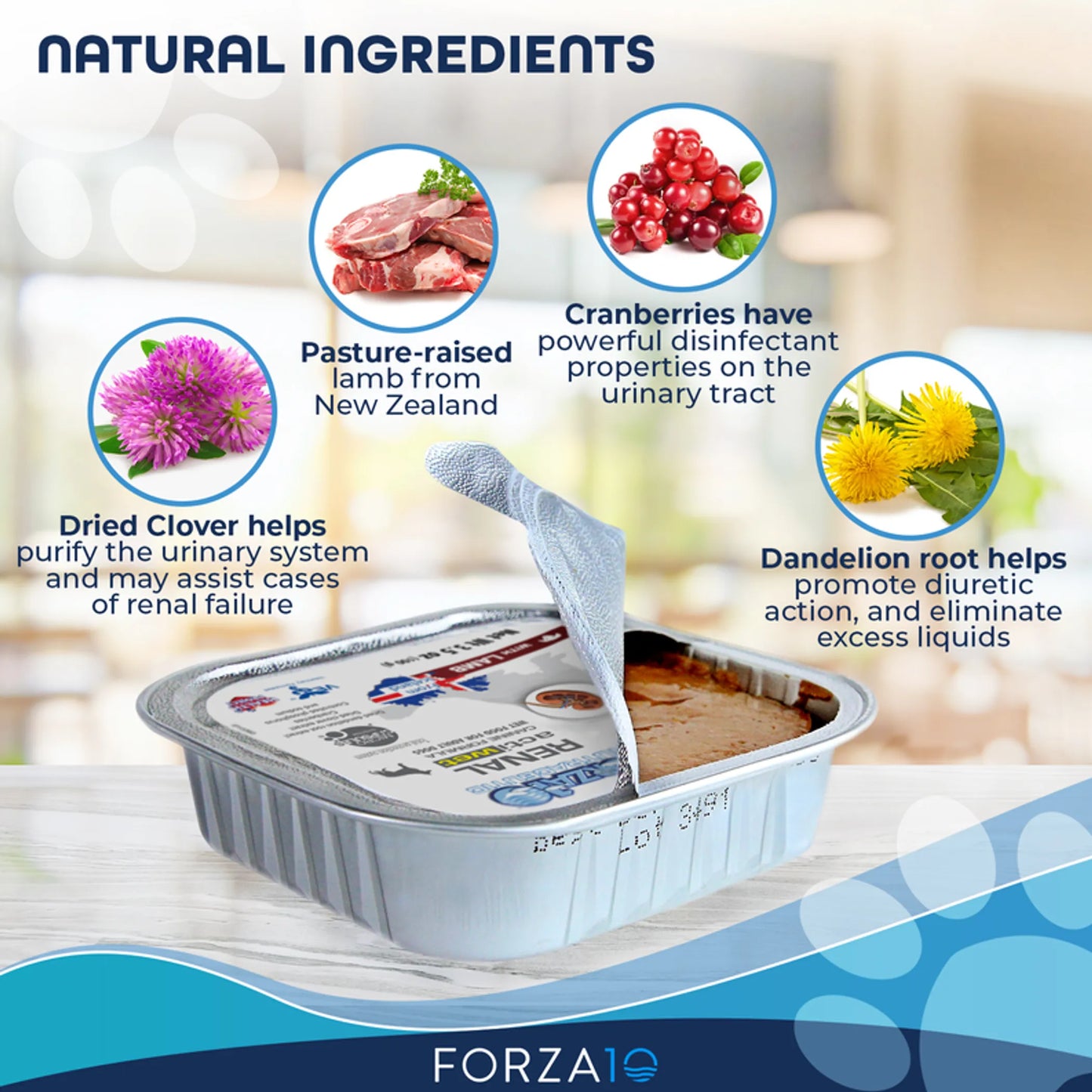 Forza10 Actiwet Renal Support Canned Dog Food highlighting natural ingredients like lamb, cranberries, clover, and dandelion root.