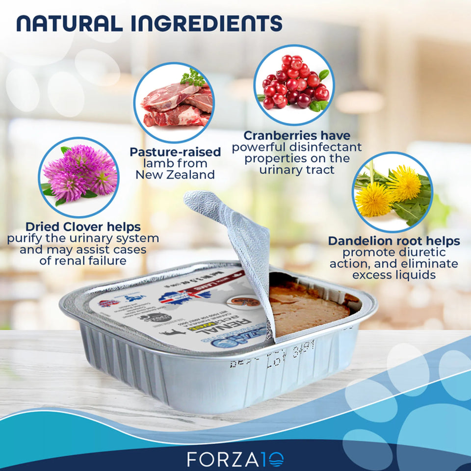 Forza10 Actiwet Renal Support Canned Dog Food, view 5