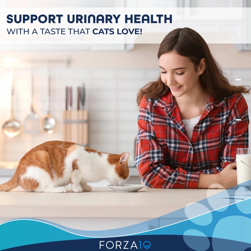 Forza10 Active Urinary Dry Cat Food - Pets Perfect
