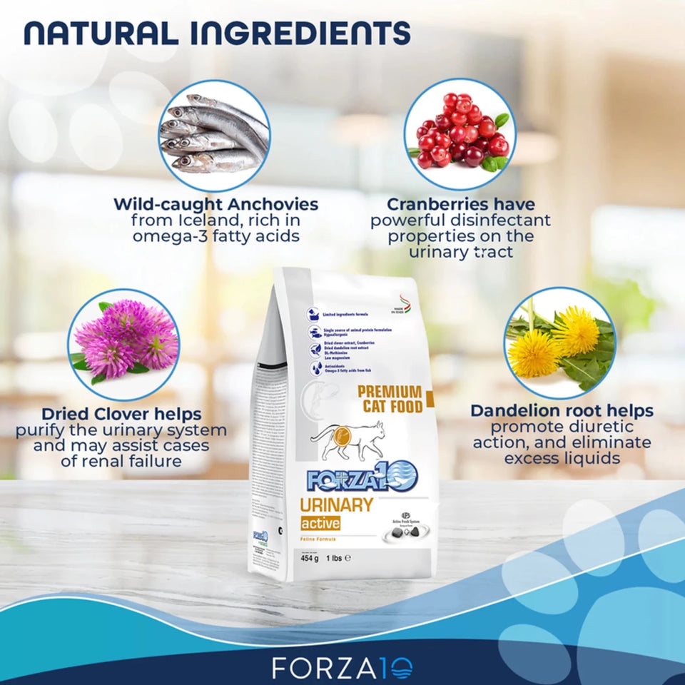 Forza10 Active Urinary Dry Cat Food - Pets Perfect