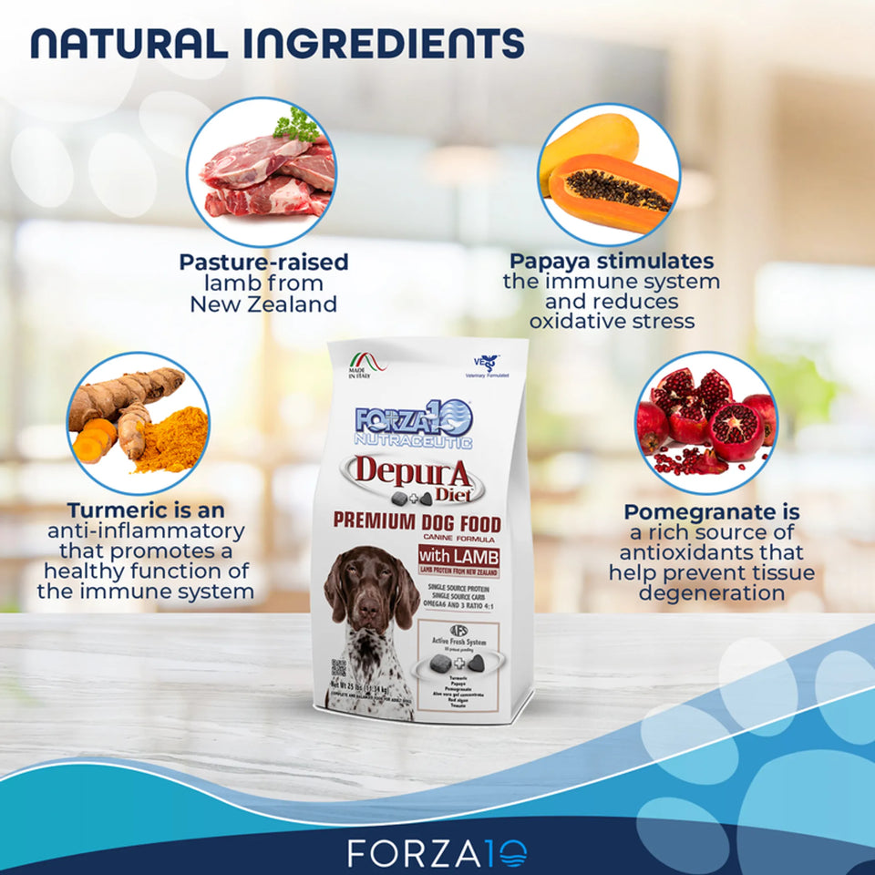 Forza10 Active Depura Diet Lamb Dry Dog Food, view 5