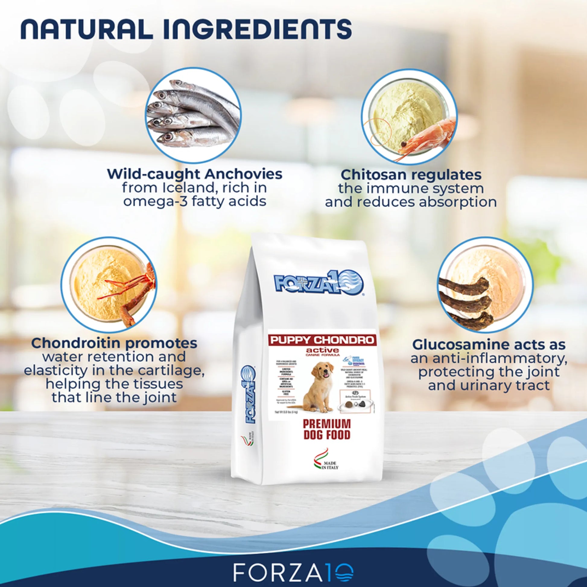 Forza10 Active Puppy Chondro Diet Dry Dog Food with natural ingredients supporting joint health and immune system.