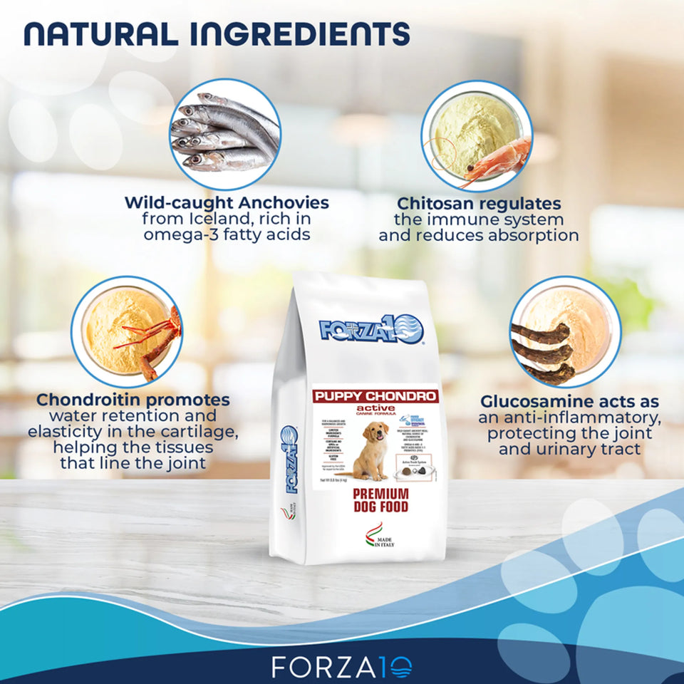 Forza10 Active Puppy Chondro Diet Dry Dog Food, view 5