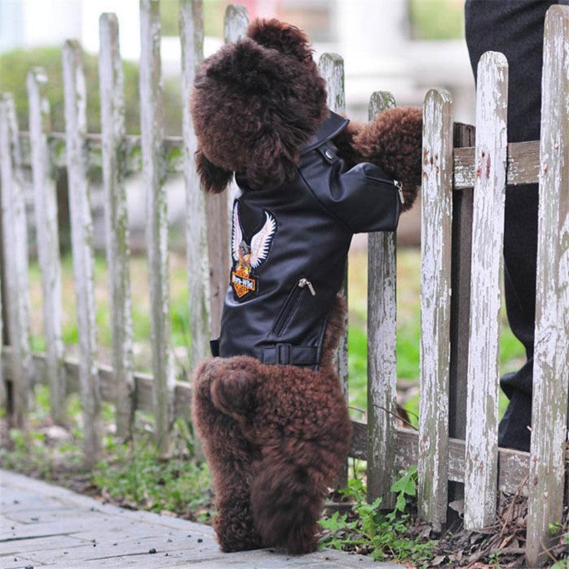 Luxury Leather Dog Coat - Chic Stylish Pet Outerwear - Pets Perfect