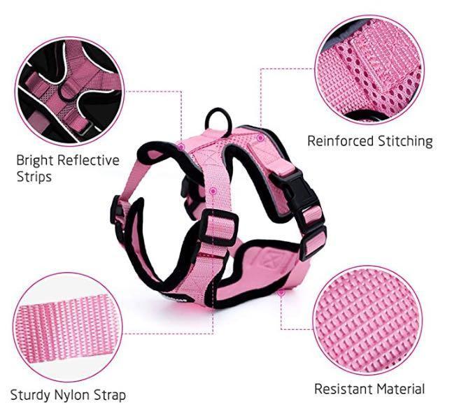 Escapeguard Cat Vest Harness And Car Seat Belt Adapter - Adjustable, Reflective, And Escape - Proof Harness For Cats And Small Dogs - Pets Perfect