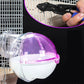 Acrylic Hamster Sand Bath House External Bathroom - Pets Perfect