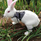 Rabbit Harness & Leash Chest Strap for Safe Walks - Pets Perfect