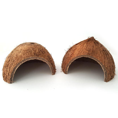 Reptile Retreat: Handmade Coconut Shell Hideout For Turtles, Scorpions, And Lizards - Pets Perfect