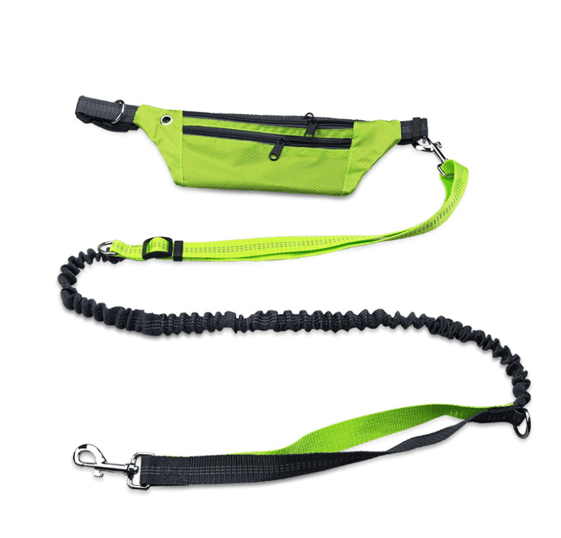 Hands - Free Dog Leash: The Ultimate Freedom For Active Dog Owners - Pets Perfect
