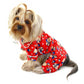 Winter Bear in Blue Scarf Flannel Pajamas for Dogs - Klippo Pet