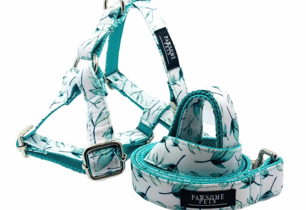 STEP IN HARNESS - MINT LEAF - Pets Perfect
