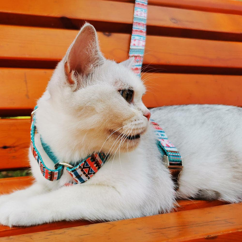 Step-in Dog Harness, Mint Leaf - Pets Perfect
