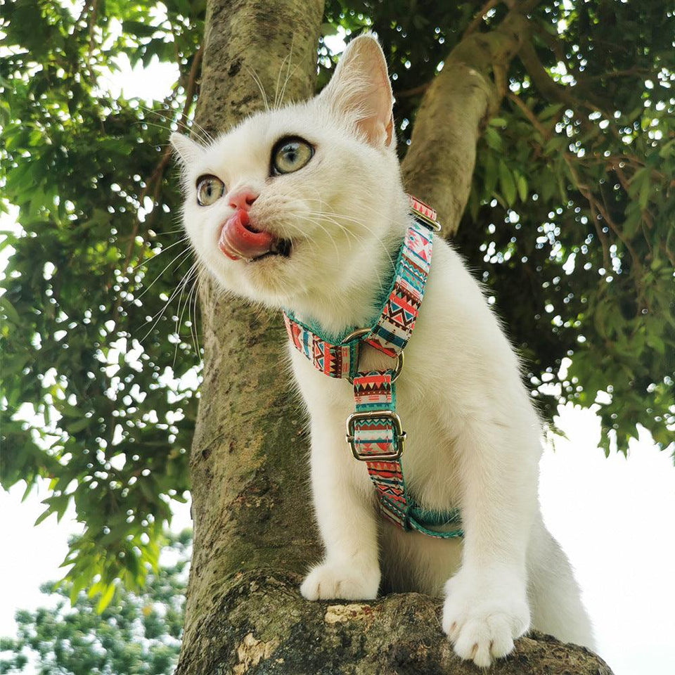 Pawsome Pets Step-in Cat Harness, Tropical Print for Easy & Secure Walks - Pets Perfect
