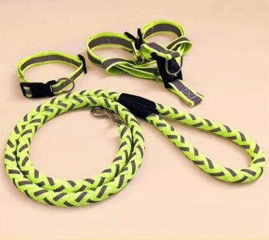 Ultimate Comfort Dog Leash - Pets Perfect