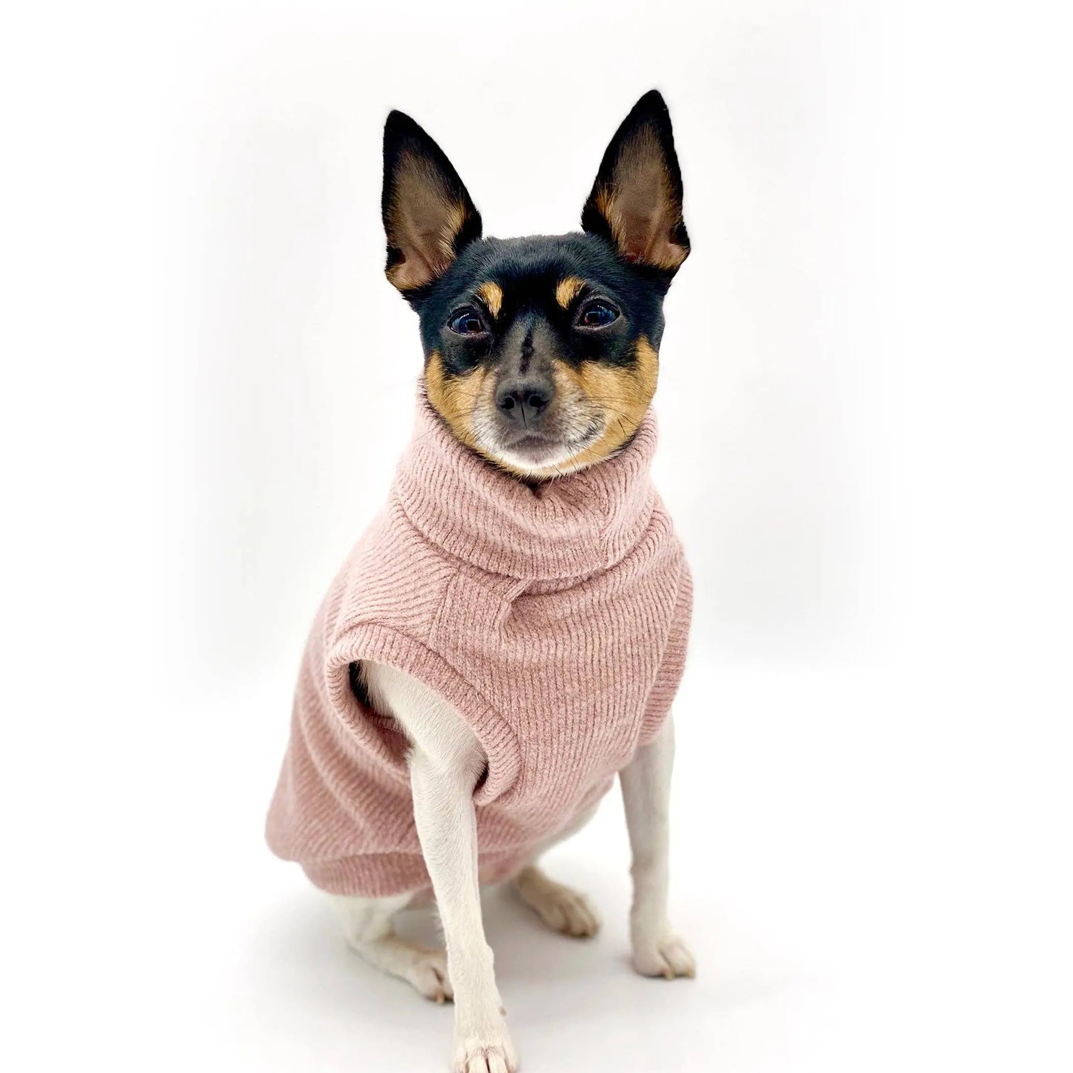 DCNY Pretty In Pink Sweater