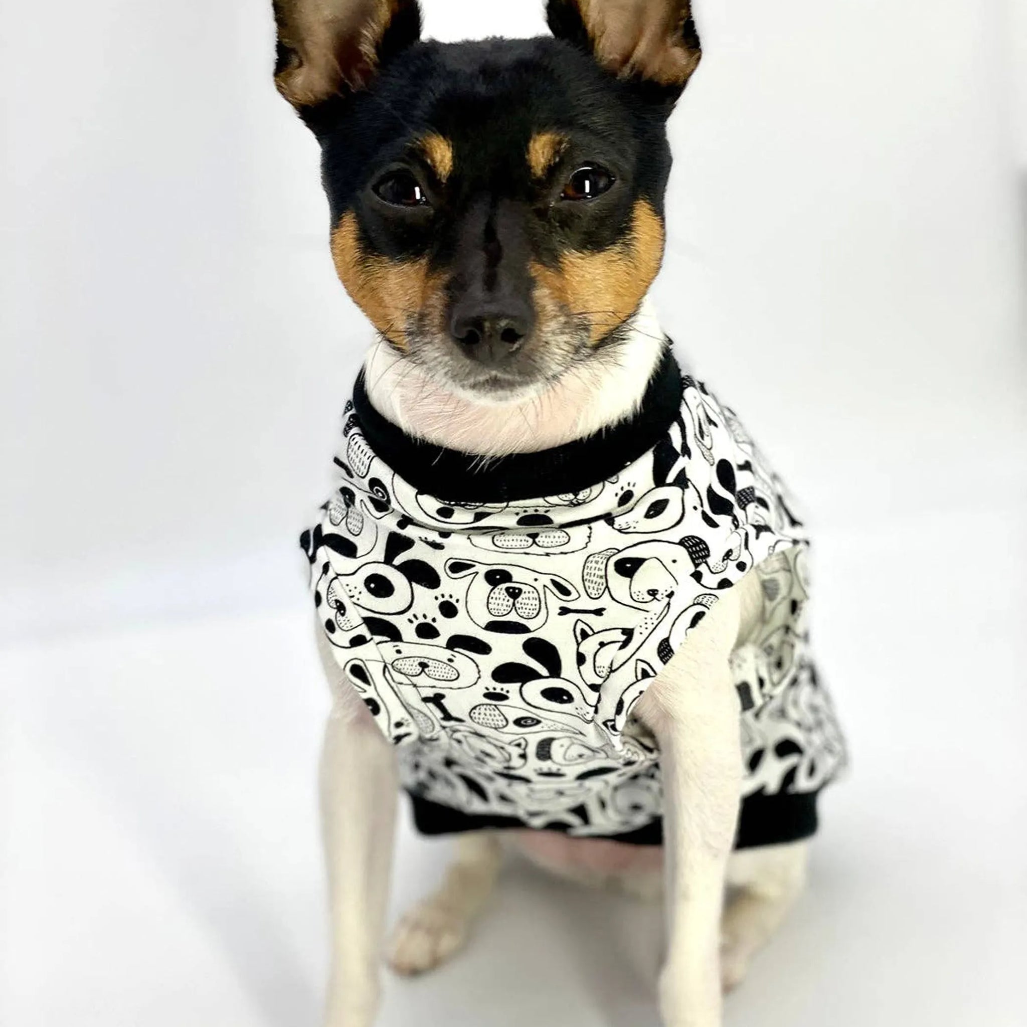 DCNY Iconic "Pup Art" Designer Dog Tank