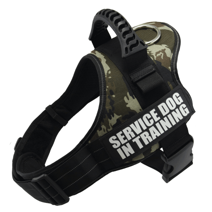 Explosafe Pet Leash: The Ultimate Safety Harness For Your Furry Friend - Pets Perfect