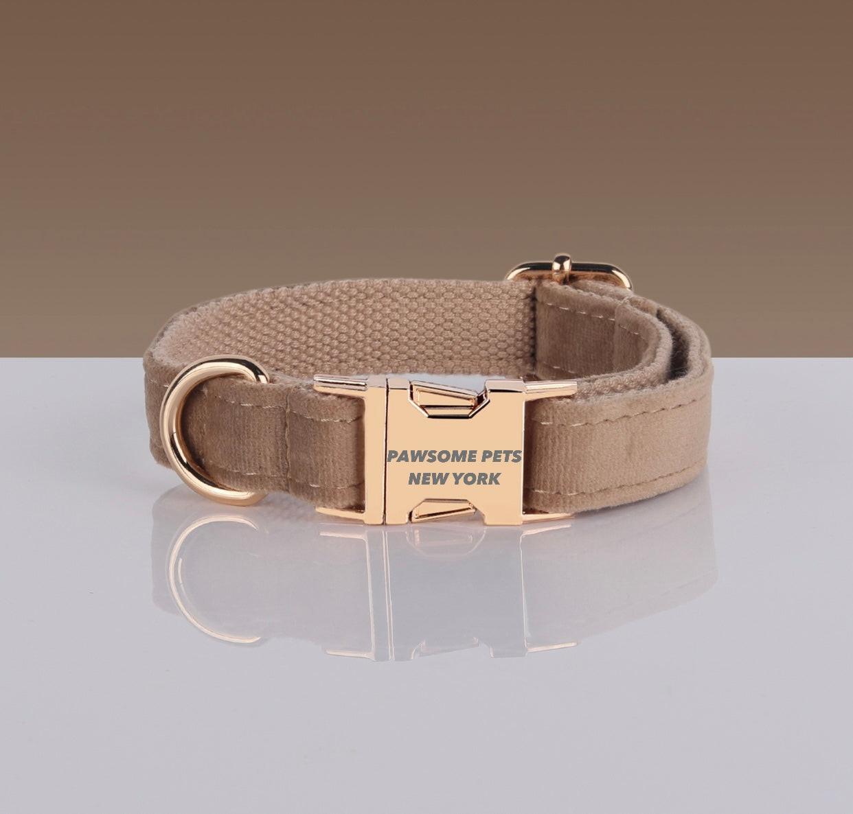 Adjustable Nylon Dog Collar - Quick - Release Buckle - Pets Perfect