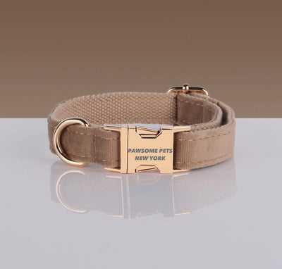 Adjustable Nylon Dog Collar - Quick-Release Buckle, XS