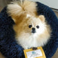 Marshmallow Pets Bed [HOT Selling!] - Pets Perfect