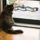 Interactive Cat Track Ball Window Suction Cup Toy - Pets Perfect