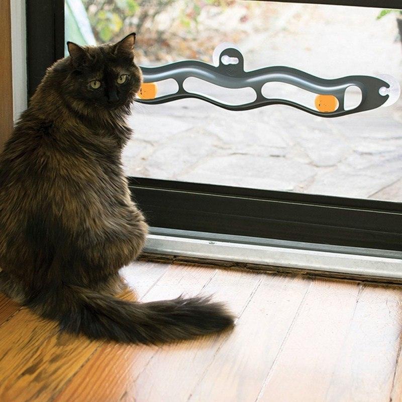 Interactive Cat Track Ball Window Suction Cup Toy - Pets Perfect