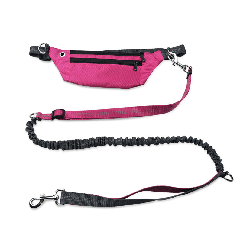 Hands - Free Dog Leash: The Ultimate Freedom For Active Dog Owners - Pets Perfect
