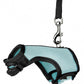 Nylon Leash for Small Pets Adjustable Sizes & Colors - Pets Perfect