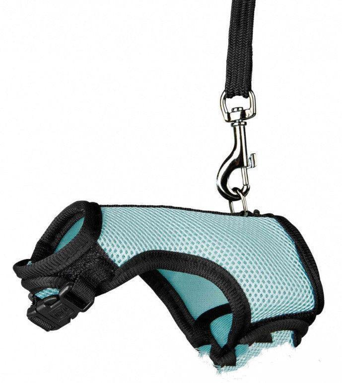 Nylon Leash for Small Pets Adjustable Sizes & Colors - Pets Perfect
