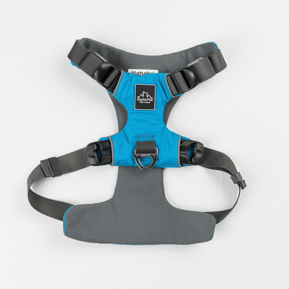 Millvue EZ Fit Water-Resistant Dog Harness for Extra Small Breeds, Riptide/Large, view 28
