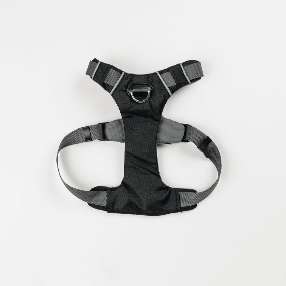 Millvue EZ Fit Water-Resistant Dog Harness for Extra Small Breeds, Desert Flower/1, view 6