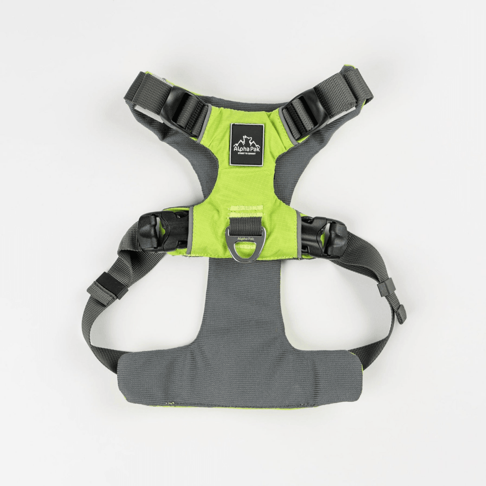 Millvue EZ Fit Water-Resistant Dog Harness for Extra Small Breeds, Desert Flower/Extra Large, view 10