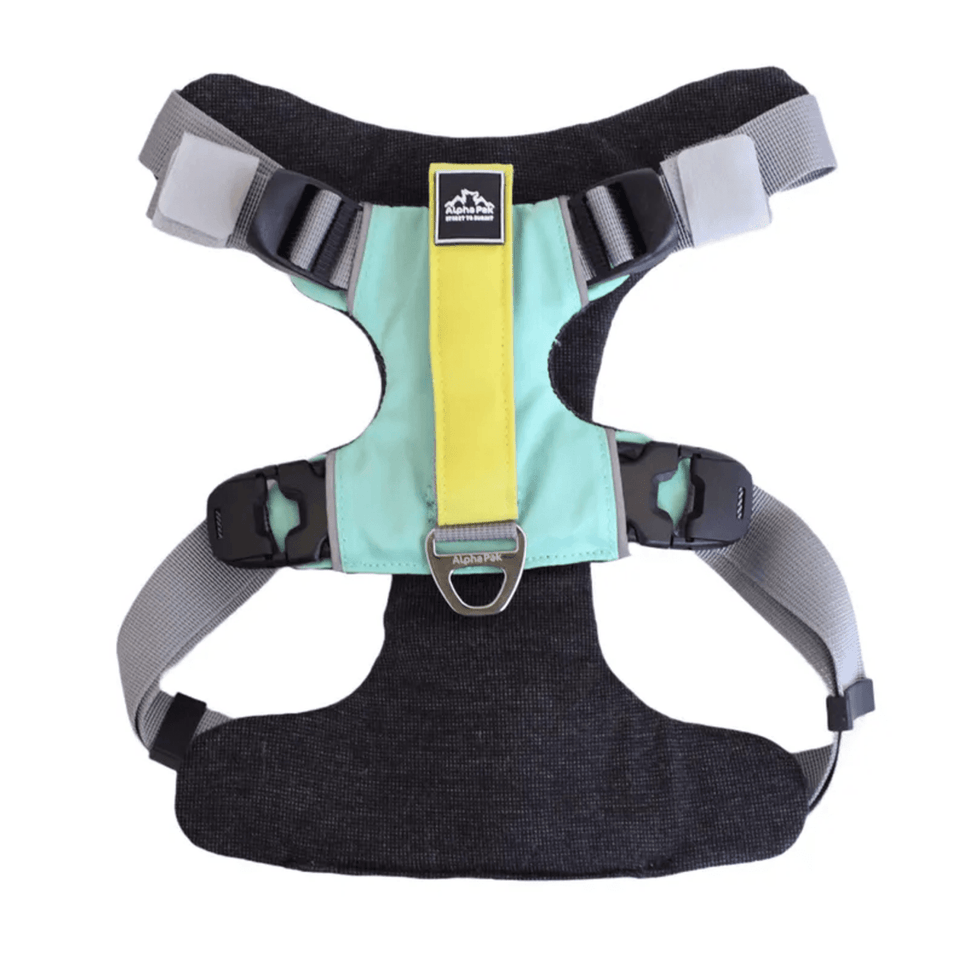Millvue EZ Fit Water-Resistant Dog Harness for Extra Small Breeds, Riptide/1, view 25