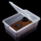 Transparent Reptile Haven: The Perfect Enclosure For Your Cold - Blooded Companions - Pets Perfect