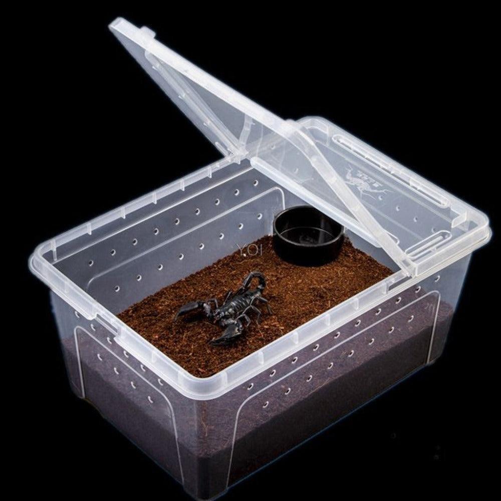 Transparent Reptile Haven: The Perfect Enclosure For Your Cold - Blooded Companions - Pets Perfect