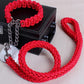 Stylish Adjustable Dog Leash And Collar Set - Pets Perfect