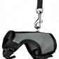 Nylon Leash for Small Pets Adjustable Sizes & Colors - Pets Perfect