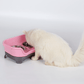 Dog Hugs Cat Pet Double Basin Stainless Steel Bowl Set - Food and Water Dog Bowl - Pets Perfect