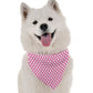 Amari Dog Bandana by Bandoggies