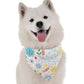 BanDoggie Desert Flower Dog Bandana - Nature-Inspired Microfiber, USA Made