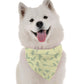 BanDoggie Laurel Dog Bandana