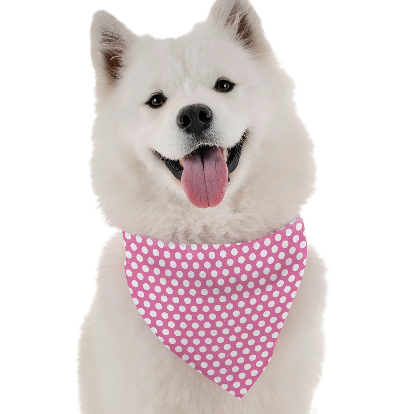 Amari Dog Bandana by Bandoggies
