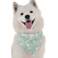 BanDoggie Reed Dog Bandana - Contemporary Natural Design