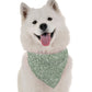 BanDoggie Talullah Dog Bandana - Contemporary Elegant Design