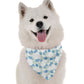 BanDoggie Gaia Dog Bandana - Contemporary Earth Design