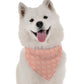 Belladon Botanical Dog Bandana by Bandoggies