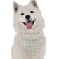 BanDoggie Junip Dog Bandana - Contemporary Botanical Design
