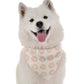 Haven Coastal Dog Bandana by Bandoggies